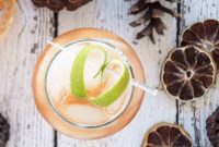 Elevate Your Gin and Tonic The Best Recipes Explored