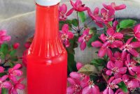 Vibrant Rhubarb Syrup for Distinctive Cocktails