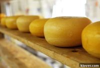 The Ultimate Cheddar for Classic Mac and Cheese