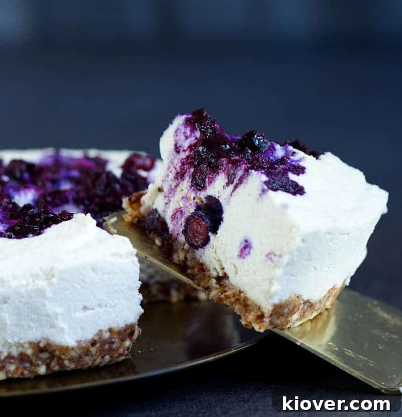 Indulgent Plant-Based Gluten-Free Blueberry Cheesecake 2 Irresistible vegan blueberry cheesecake, showcasing its vibrant purple swirl and golden crust