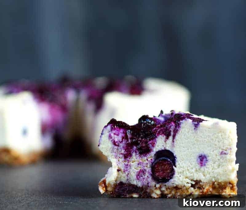 Indulgent Plant-Based Gluten-Free Blueberry Cheesecake 3 Close-up of a slice of vegan blueberry cheesecake, revealing its creamy texture and rich blueberry swirls
