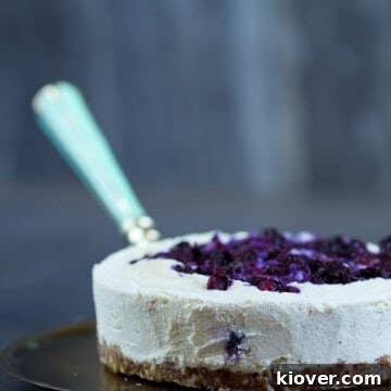 Gluten-Free & Vegan Blueberry Cheesecake, a healthy dessert option