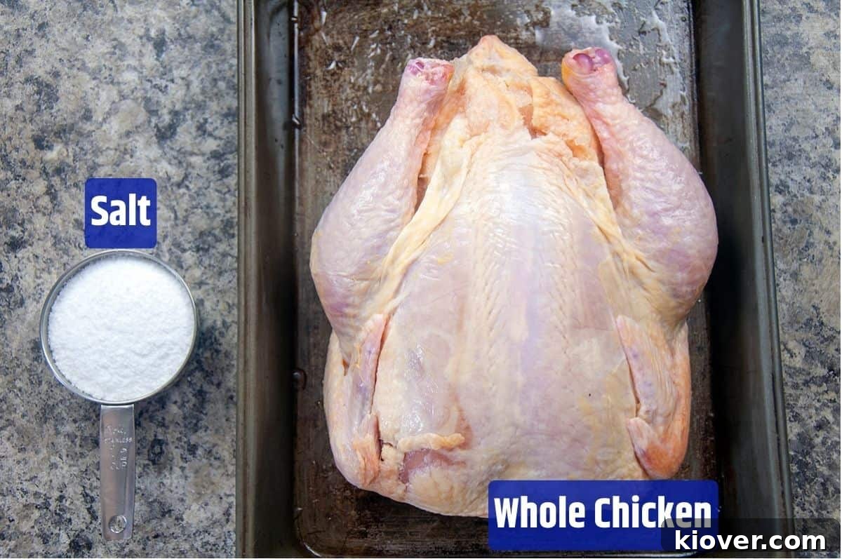 A spatchcocked whole chicken with a bowl of salt, ready for brining and grilling.