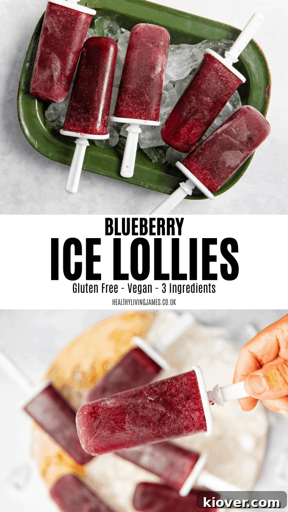 Blueberry Ice Lollies Pin