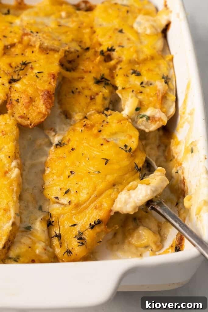 vegan dauphinoise potatoes front view inside white baking dish with dairy-free cashew cream sauce.