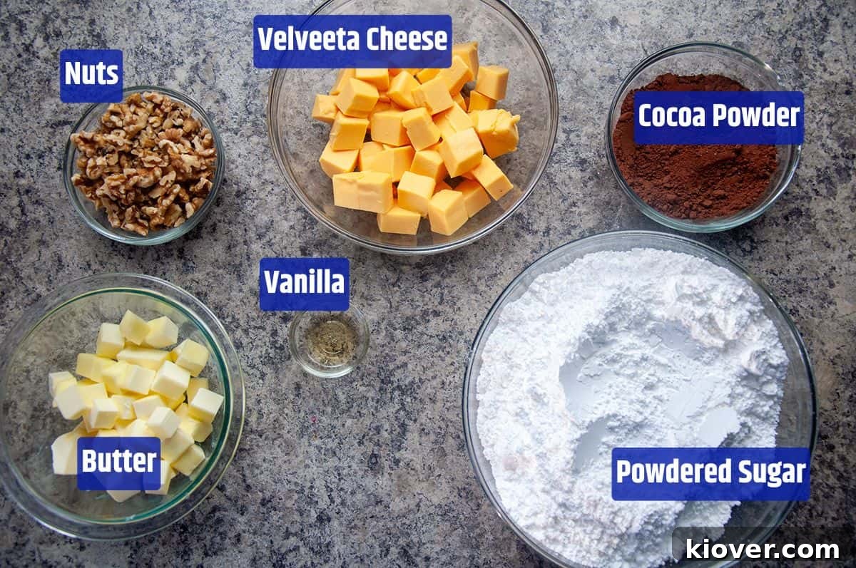 All the ingredients for Velveeta fudge laid out on a table: Velveeta cheese, cocoa powder, powdered sugar, butter, vanilla, and chopped nuts.