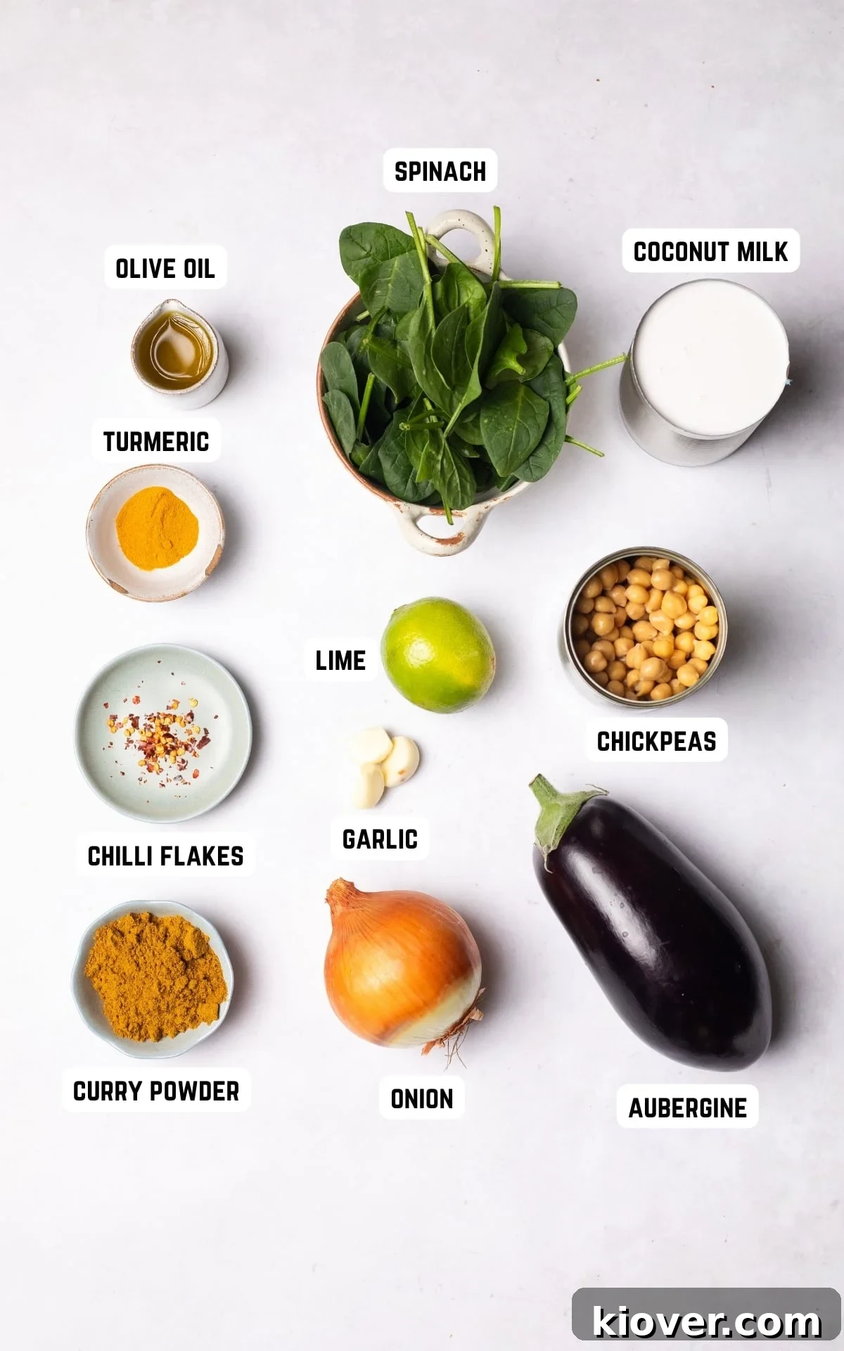 A vibrant selection of ingredients laid out, ready to make a delicious Aubergine Curry.