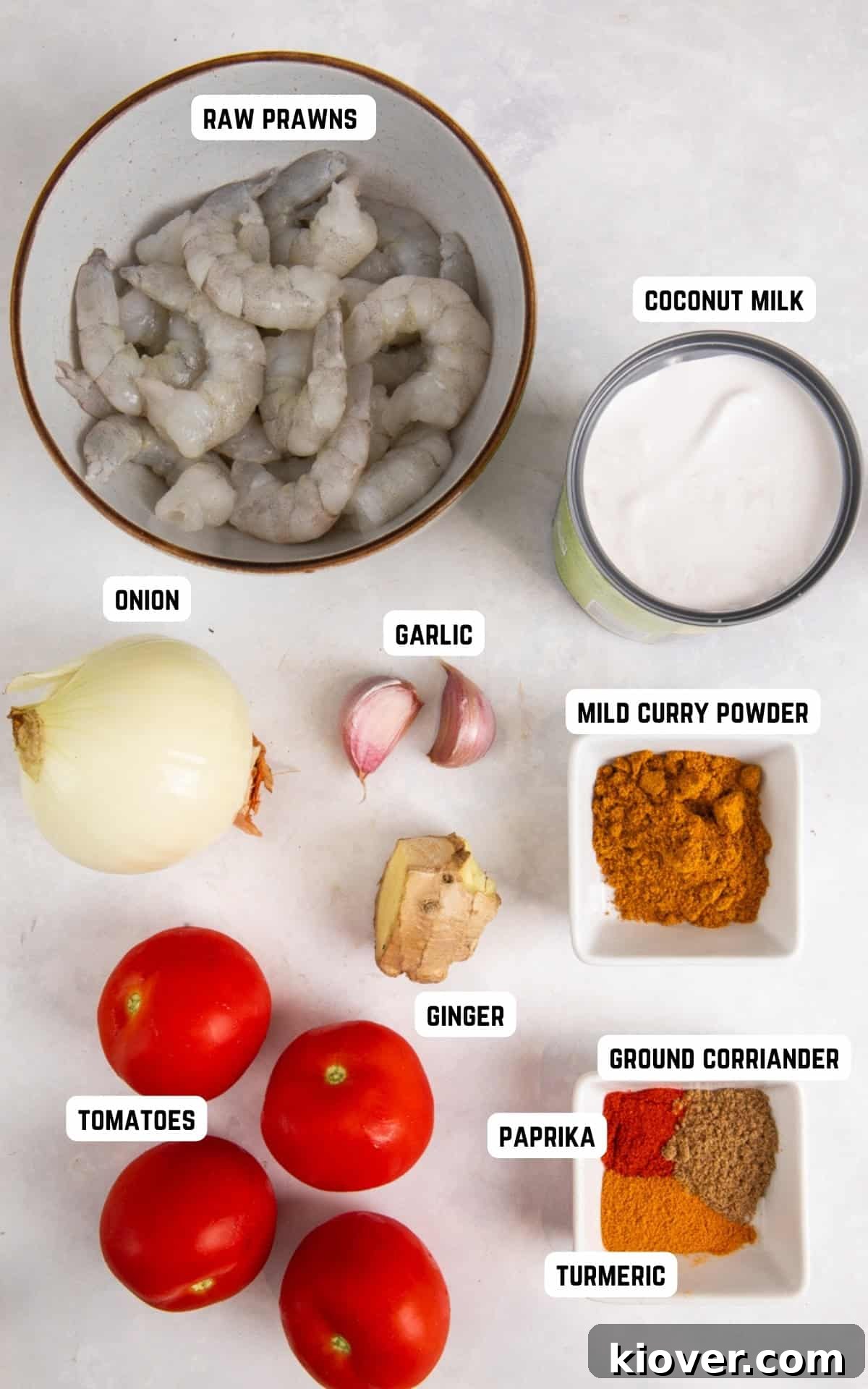 Ingredients to make Prawn Curry.
