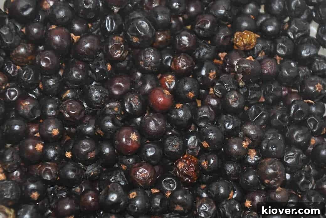 Juniper Berries close up.