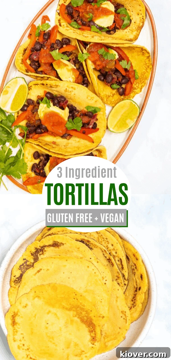 Wholesome Gluten Free Wraps 11 Pinterest pin for 3-ingredient gluten-free vegan tortillas