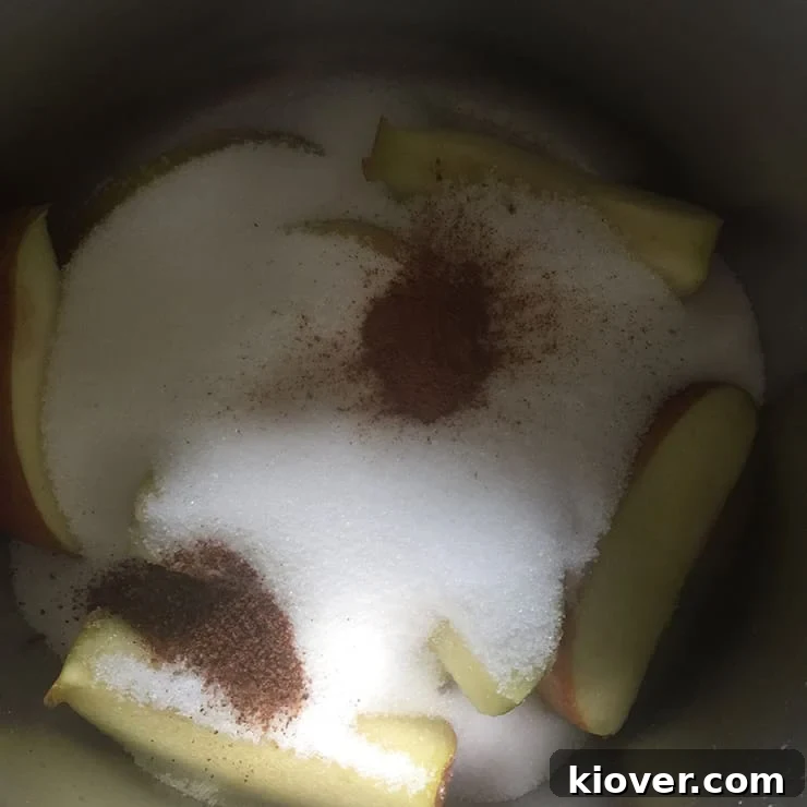Apples, sugar, cinnamon, and nutmeg in saucepan
