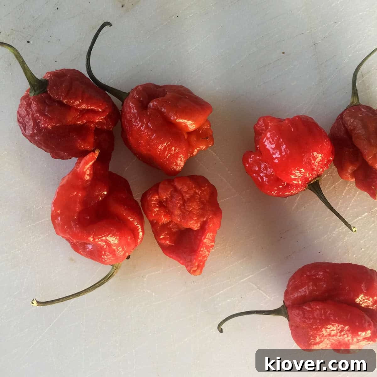 Seven vibrant red Carolina Reaper Peppers meticulously arranged on a rustic wooden cutting board, showcasing their distinct wrinkled texture.