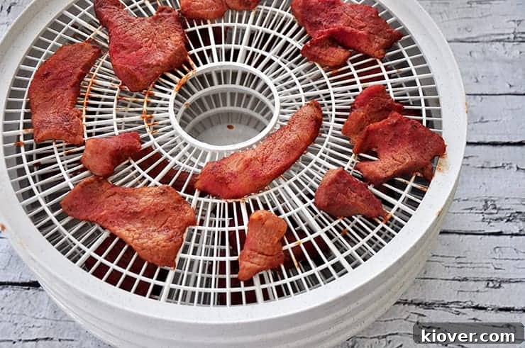 Drying Beef Beef Jerky on a dehydration tray