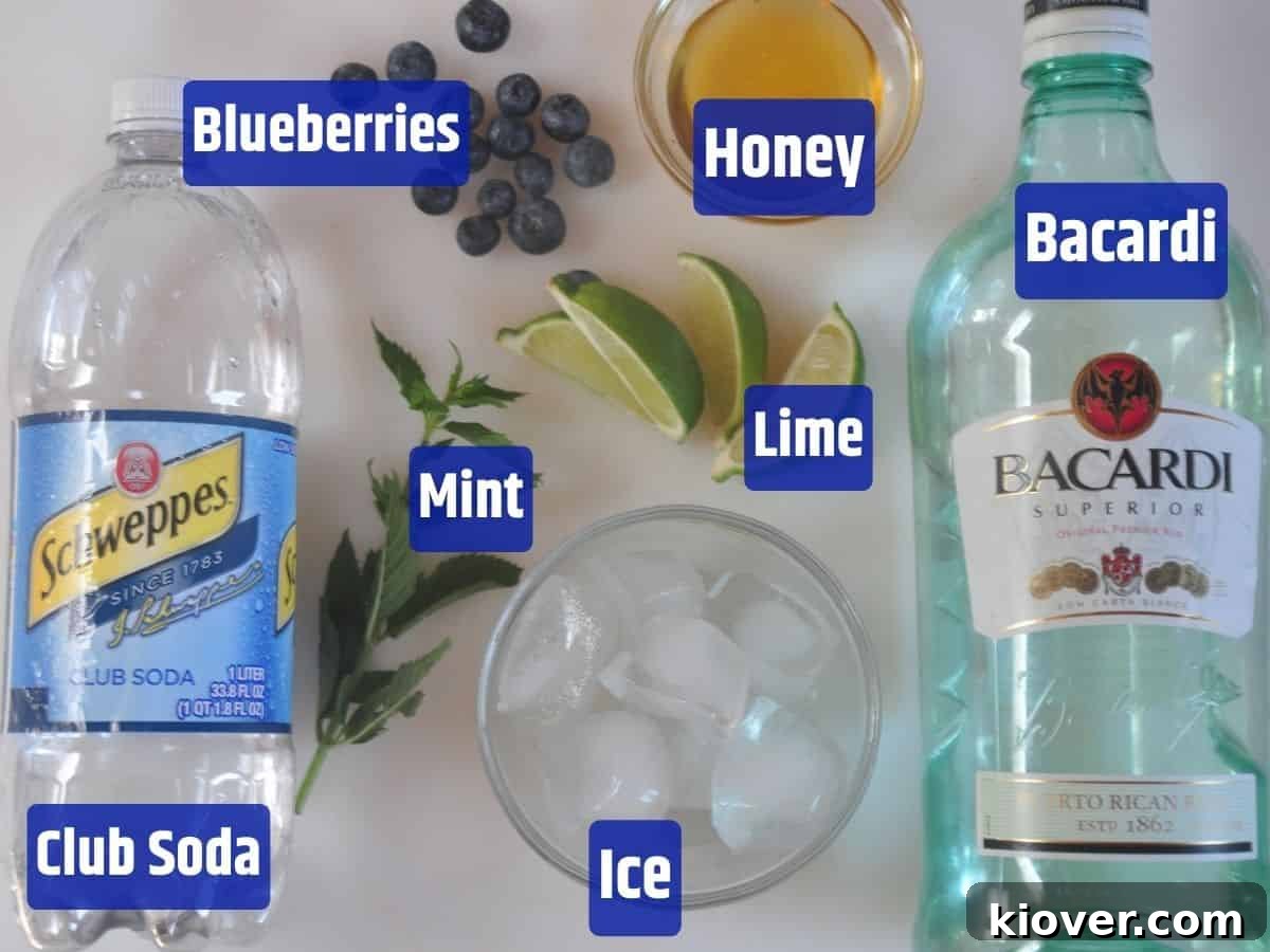 Honey Blueberry Mojito ingredients.