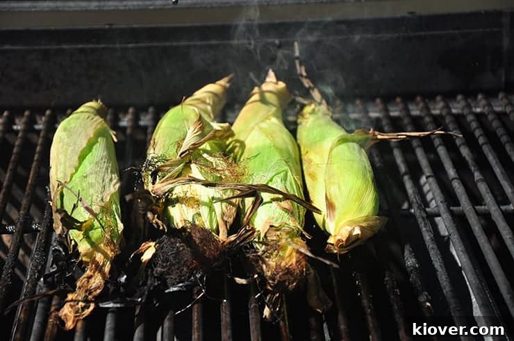 Close-up shot of corn cobs being grilled with their husks on, smoke gently rising from the grill grates.