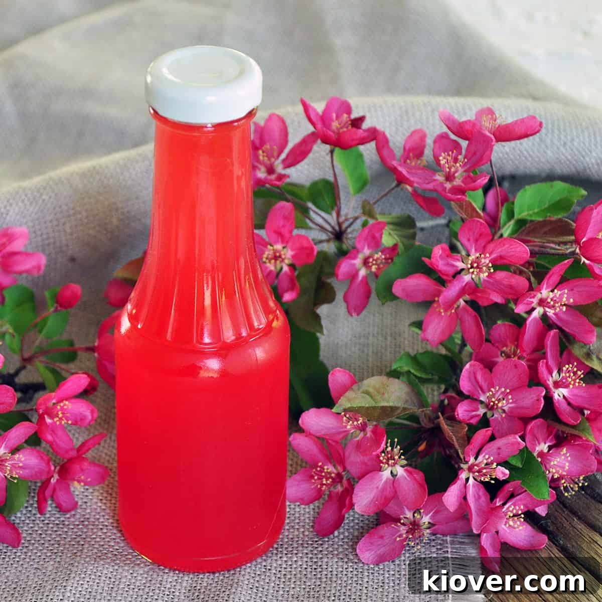 A bottle of vibrant pink homemade Rhubarb Syrup on a rustic picnic table, surrounded by delicate spring flowers, suggesting an outdoor gathering.