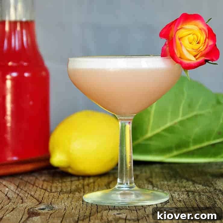 Barb's Special Roux Limoncello and Rhubarb Cocktail A vibrant Limoncello and Rhubarb Cocktail served in a coupe glass, resting on a rustic wooden surface. Fresh rhubarb stalks, whole lemons, and a bottle of syrup are blurred in the background, hinting at the cocktail's fresh ingredients. The drink is elegantly garnished with delicate red and yellow rose petals.