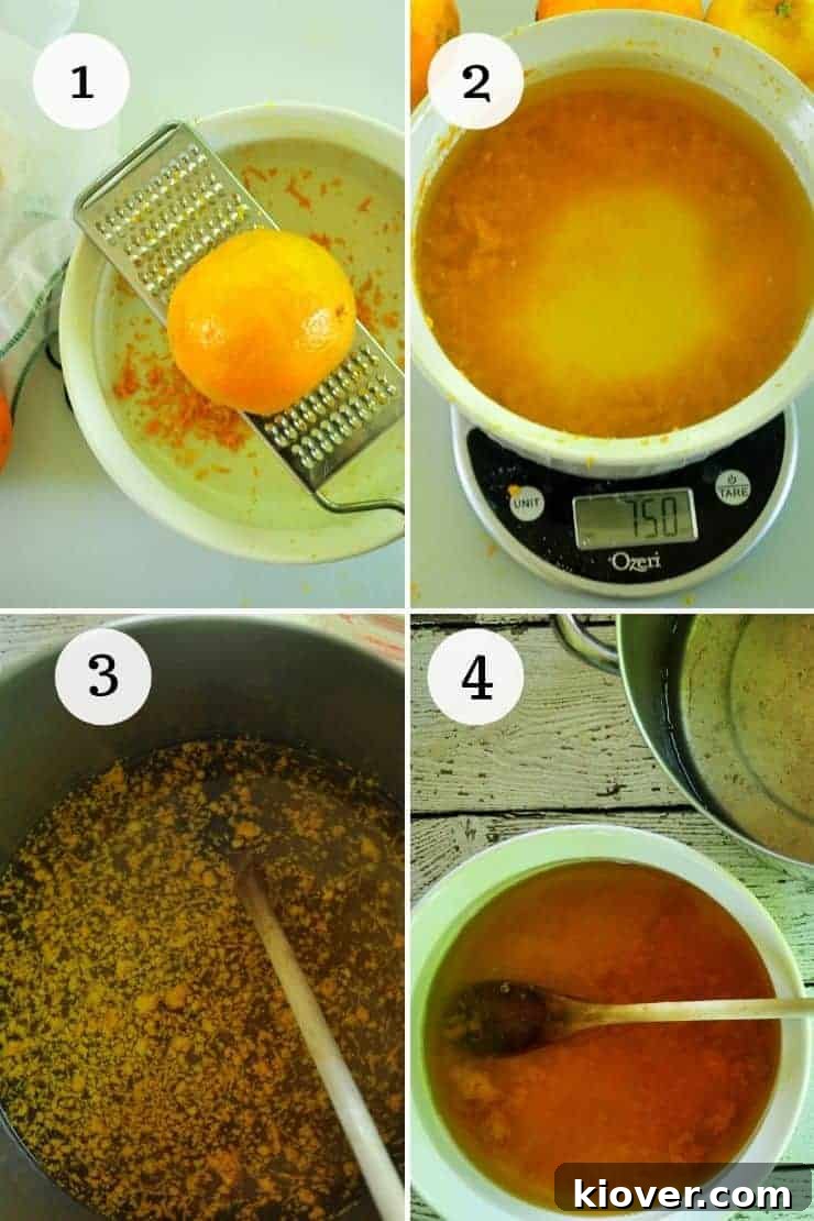 Orangecello Process Numbered Steps to Make Orangecello