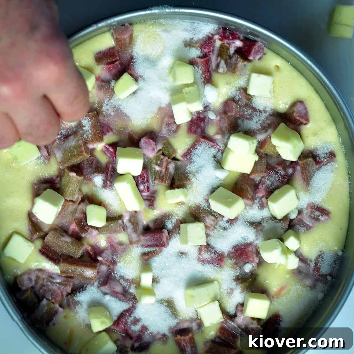 Pre-bake Cake Sprinkling sugar on top of rhubarb cake batter in a springform pan before baking.