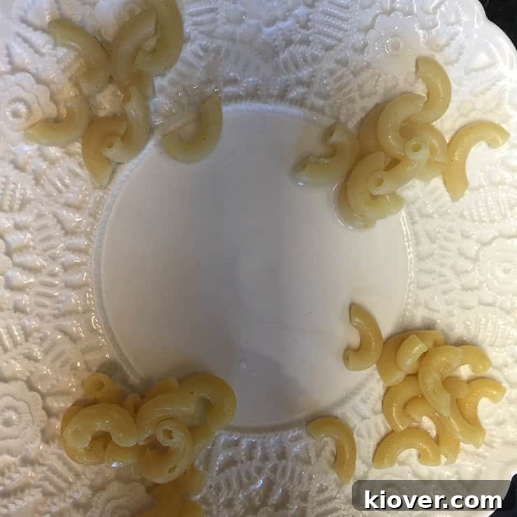Macaroni Taste Test Challenge - Comparing Elbow Macaroni Brands