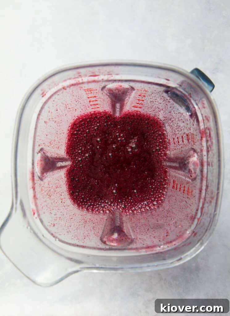 Blueberry Frozen Yogurt Popsicles: Refreshing Summer Treat 3 blended blueberry juice.