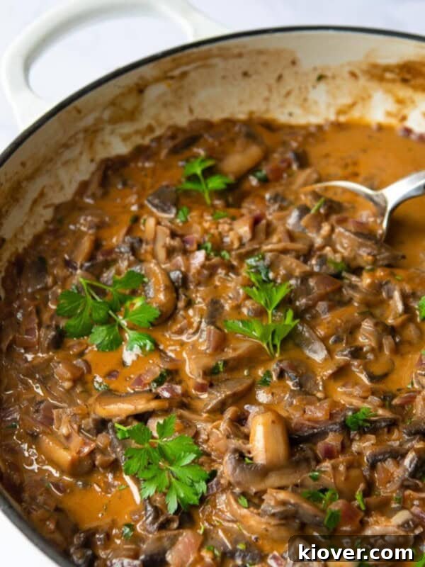 Garlic Butter Mushrooms on Toast with Herbs 8 Vegan Mushroom Stroganoff served in a large non-stick frying pan with silver spoon. Pan is displayed on white background.