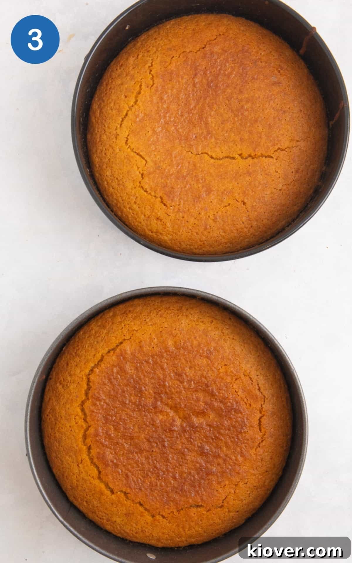 Gluten-Free Victoria Sponge Cake Recipe for Light, Fluffy Layers 6 baked sponge cakes cooling in the tin