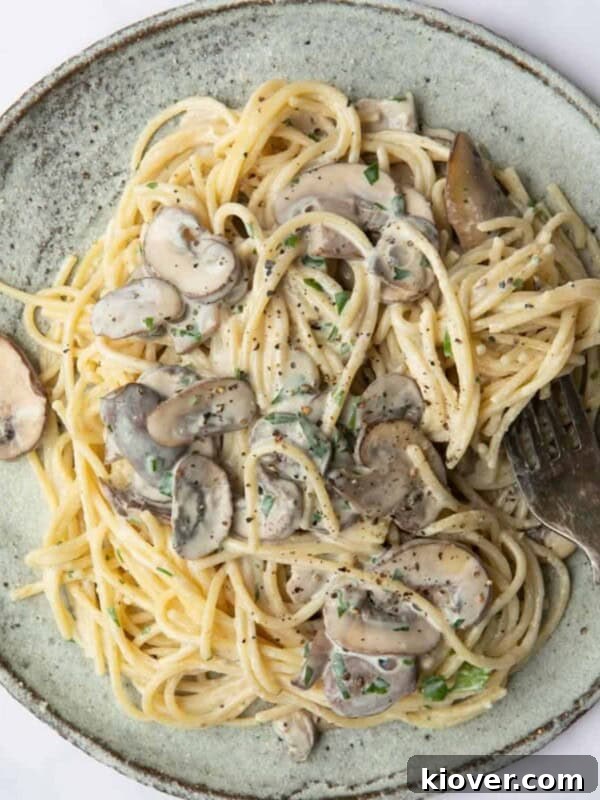 One-Pot Creamy Vegan Mushroom Stroganoff Recipe 10 Vegan Mushroom Pasta served on a blue plate with a silver fork