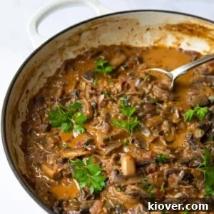 71 Top Gluten-Free Recipes for Every Meal 48 Vegan Mushroom Stroganoff served in a large non-stick frying pan with silver spoon. Pan is displayed on white background.