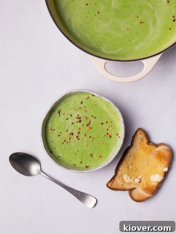 Pea Soup topped with chilli flakes with a slice of toasted bread.