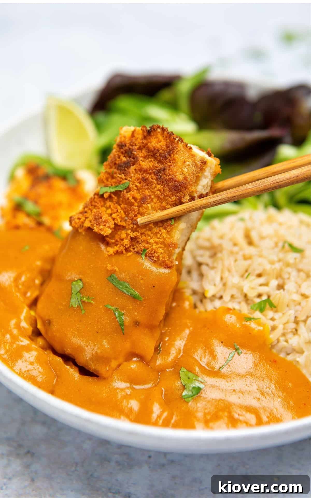 Vegan Katsu Curry close up.