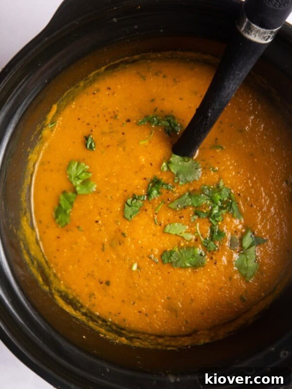Creamy Carrot and Parsnip Soup Recipe for Cozy Weeknights 9 Overhead shot of blended carrot and coriander soup in slow cooker topped with fresh coriander and ladle.