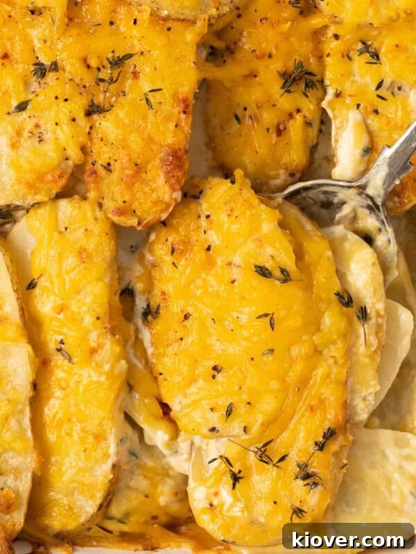 Classic Boulangère Potatoes Recipe: Crispy Potato and Onion Bake 11 closeup of Vegan Dauphinoise Potatoes in baking dish with dairy-free cream sauce and fresh thyme.