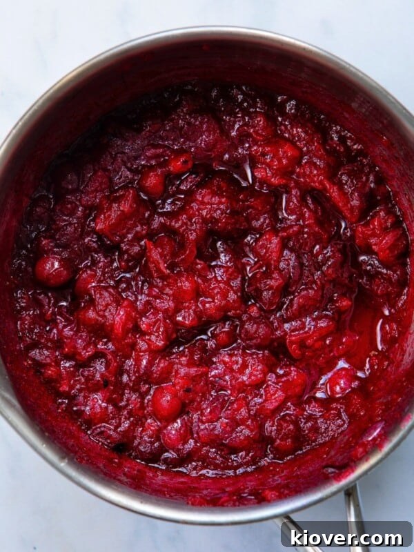 Festive Baked Salmon for Christmas Dinner 8 Homemade Cranberry Sauce