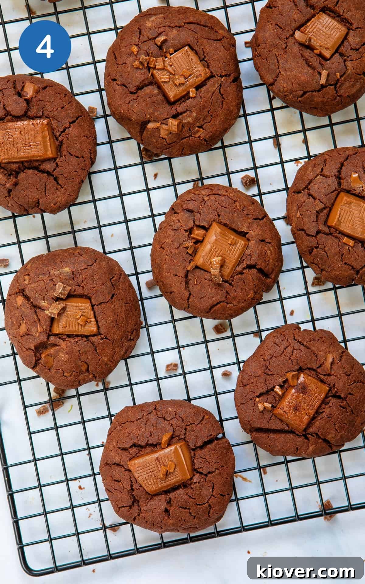 Chewy Gluten-Free Chocolate Cookies You’ll Love 7 Gluten Free Chocolate Cookies on a cooling rack.