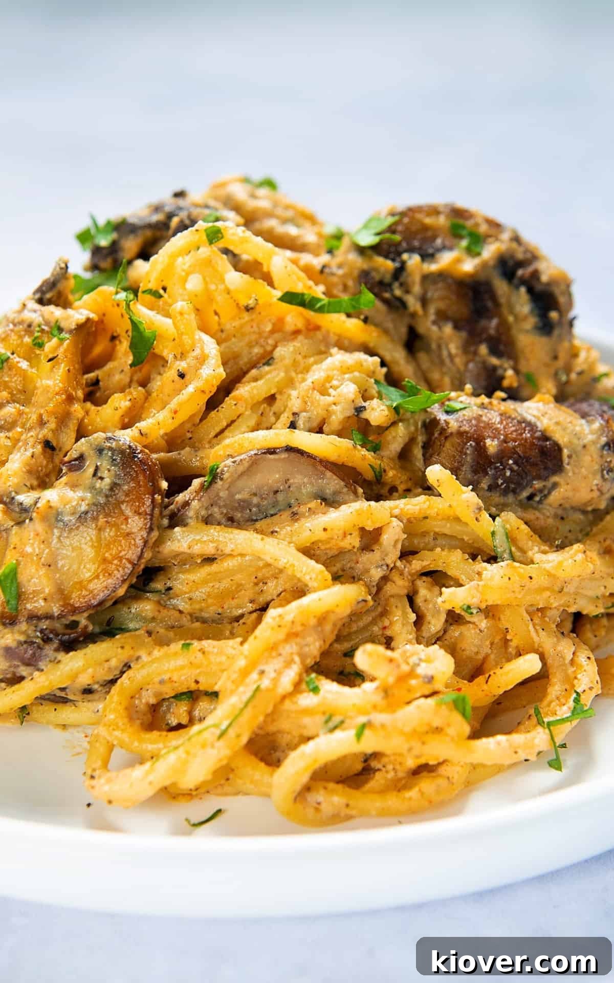 Creamy Mushroom Alfredo Pasta Recipe for Dinner 8 Mushroom Alfredo served on a plate with fresh herbs.